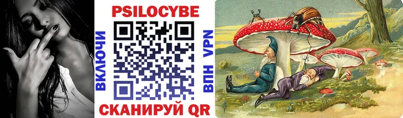 Галлюциногенные грибы Cubensis  ОМГ ОМГ ONION  мориарти клад  Чулым 